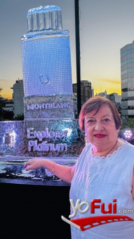 Marina Meneses Weber