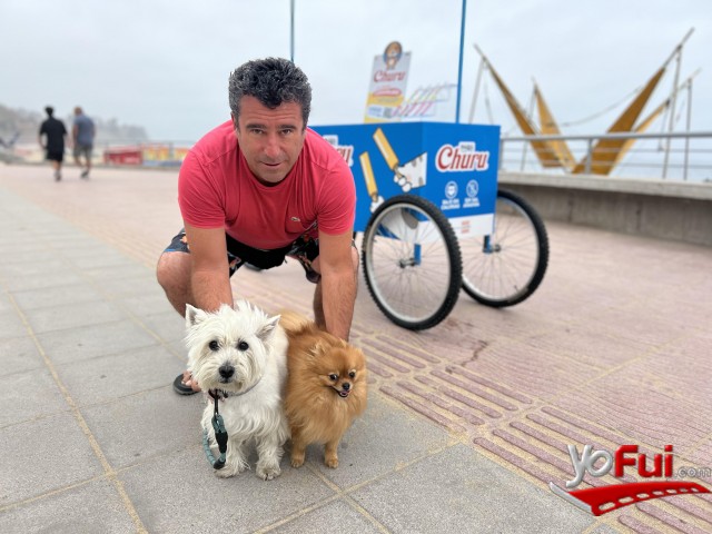 Luli, Eduardo Herran, Harry