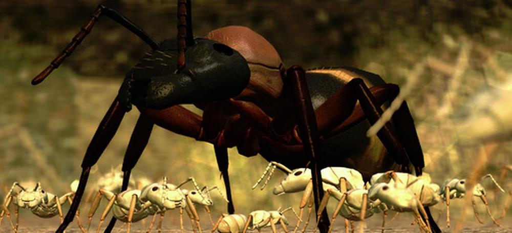 Ant Simulator