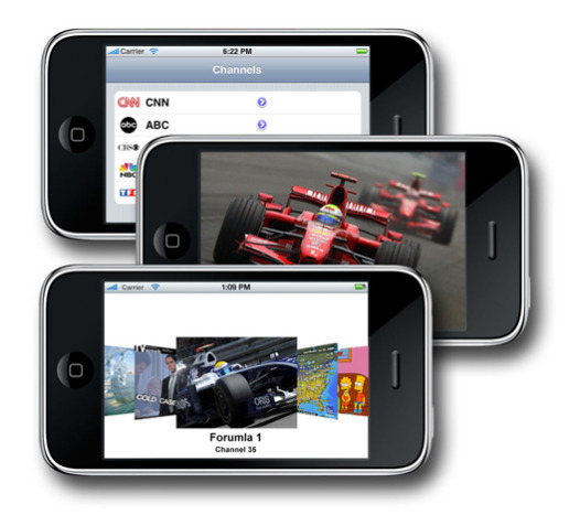 F1 | GP Brasile, Interlagos 2012: Links Streaming Video