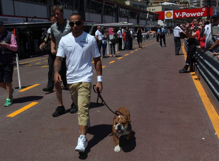 F1 | Monte Carlo, Hamilton: Pass per Roscoe