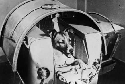 Sputnik Laika 1957