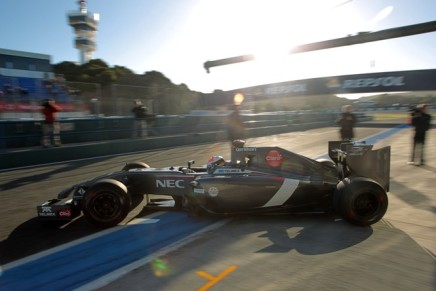 30.01.2014- Adrian Sutil (GER) Sauber F1 Team C33