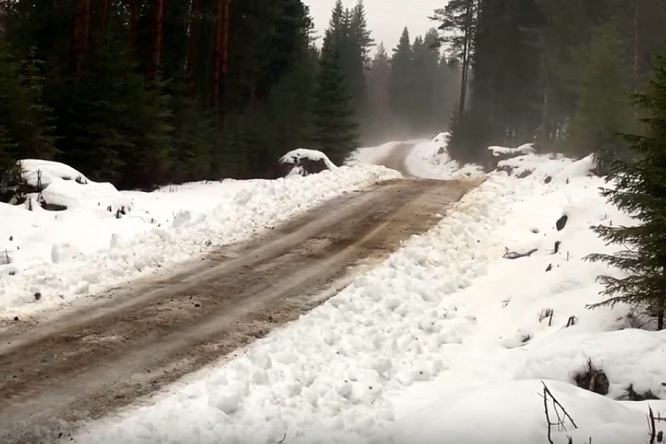 Wrc Svezia 2016