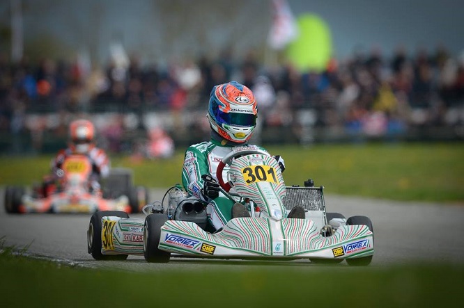 Kart Luca Corberi KZ2 Essay 2016