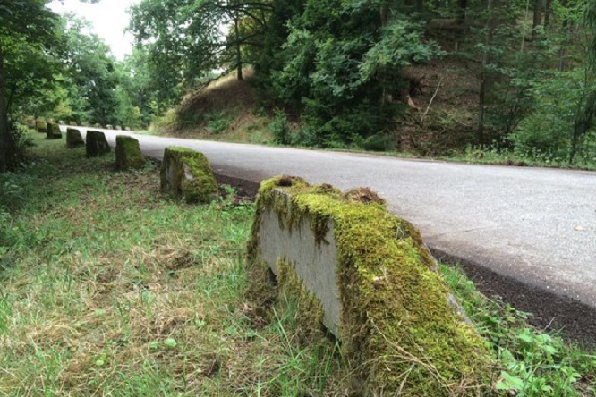 Wrc Panzerplatte Rally Germania