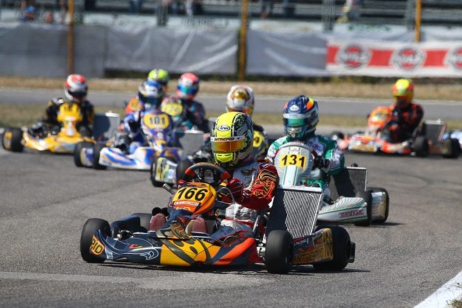 Karting Palomba Intrepid Tm 2017