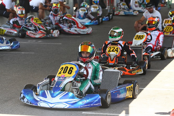 Kart Rok Junior Gulizia Raffaele campionato italiano Aci 2018 Lonato