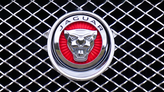 Jaguar Land Rover apre a nuove partnership