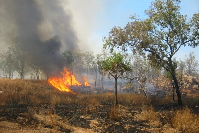 Incendi, l’Australian Open si farà