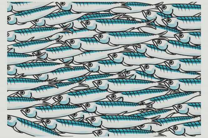A Torino 35 mila sardine