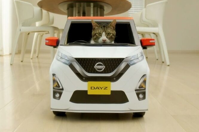 Nissan Dayz, una kei car da gatti