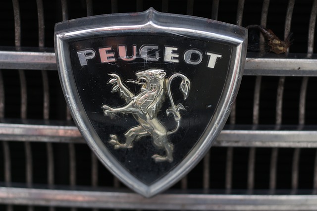 Una Peugeot da mezzo milione di euro