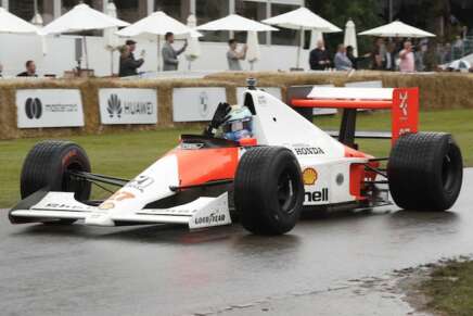 ricciardo senna goodwood