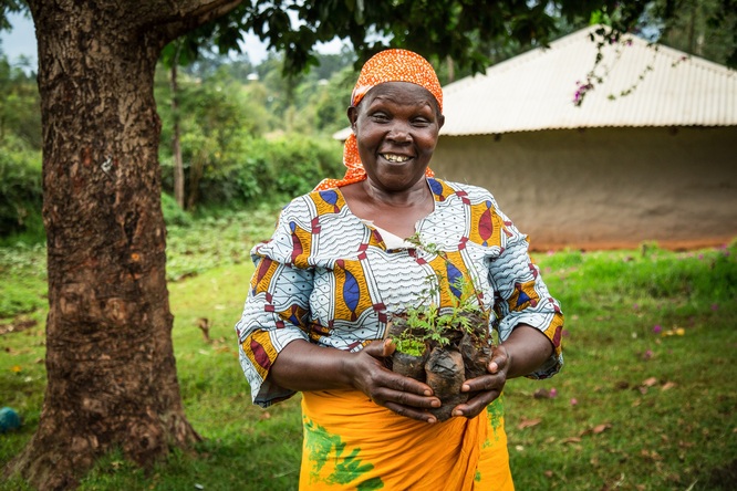 Brembo realizza una foresta da 14.000 alberi in Kenya