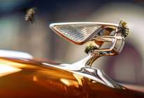 La stagione da record delle api di Bentley