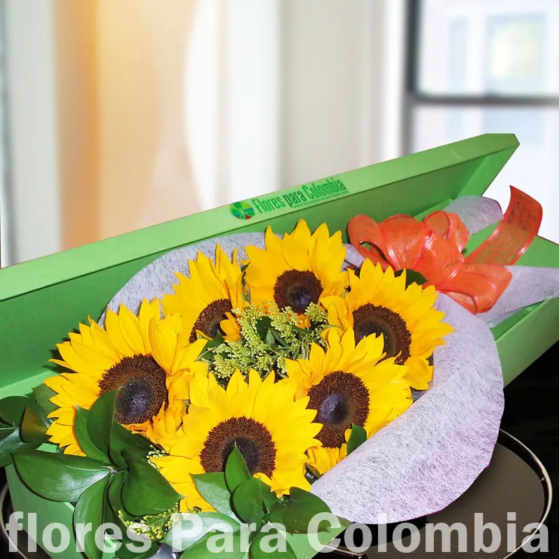 Significado de regalar girasoles, sus tipos y arreglos florales ✓