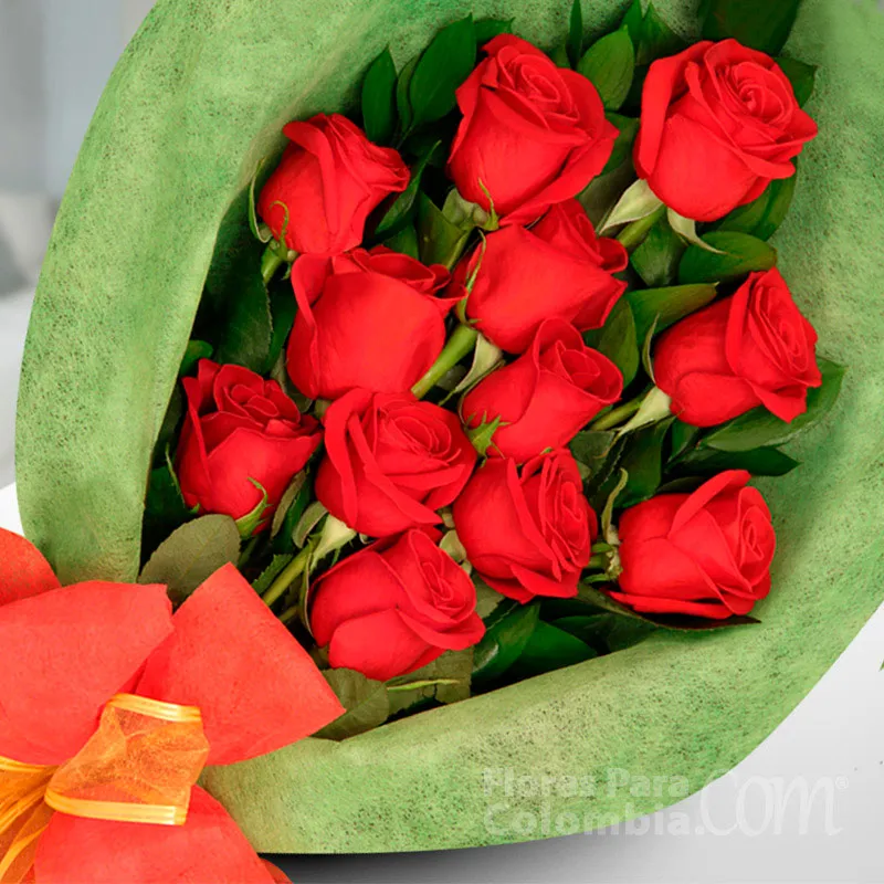 Rosas rojas significado para regalar - Blog de Flores