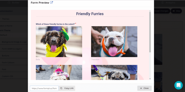 Form-preview-in-a-modal