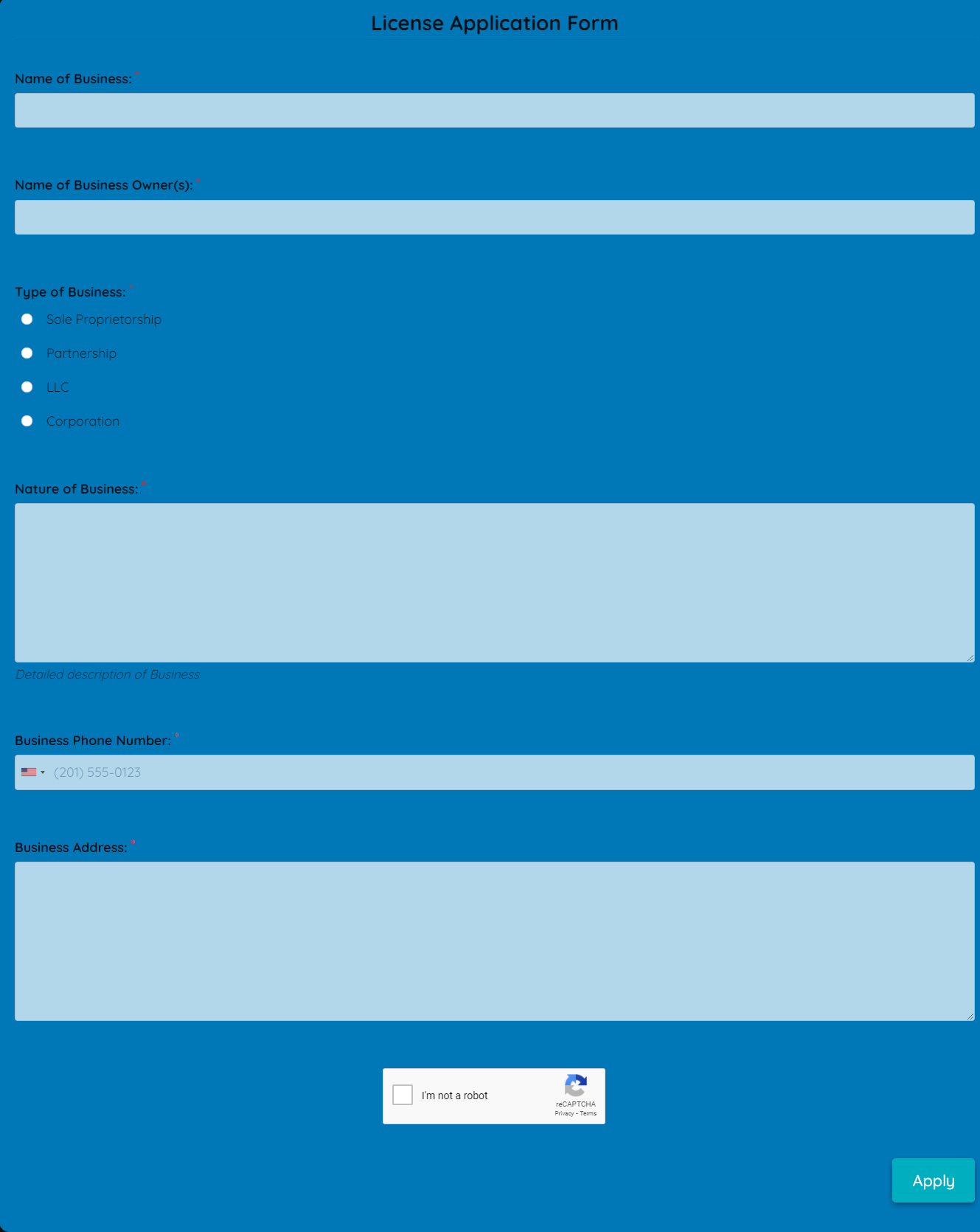 Business License Application Form Template template