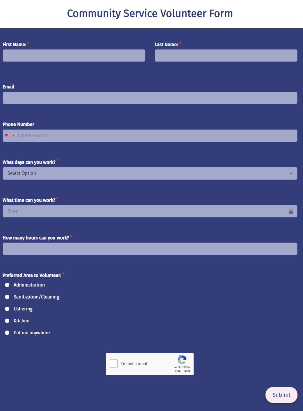 Community Service Volunteer Form Template template