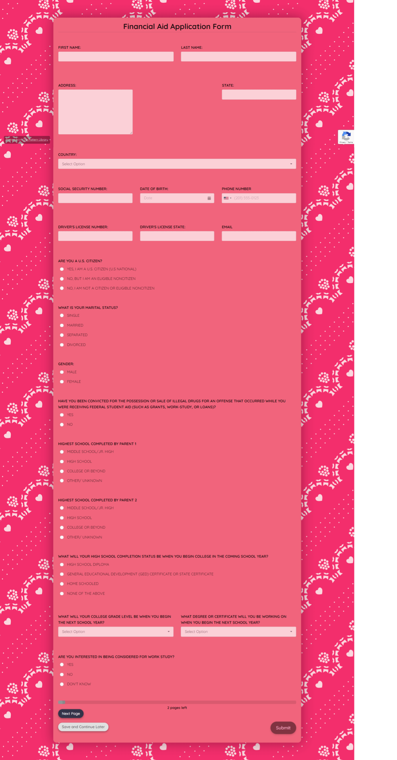 Financial Aid Application Form Template template