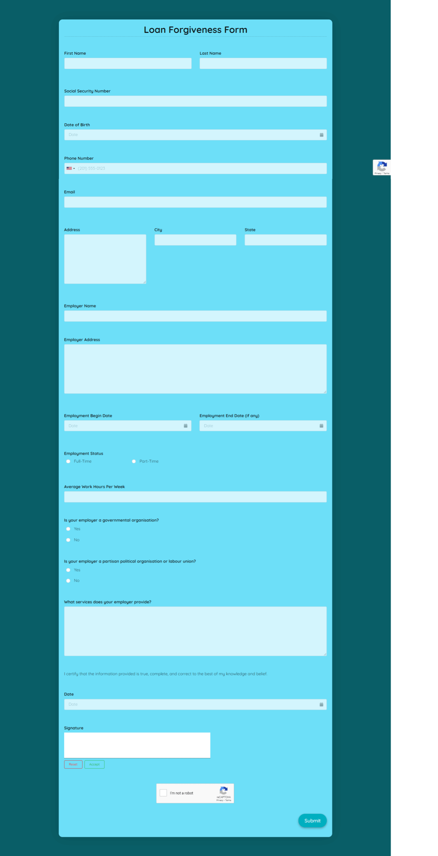 Loan Forgiveness Form Template template