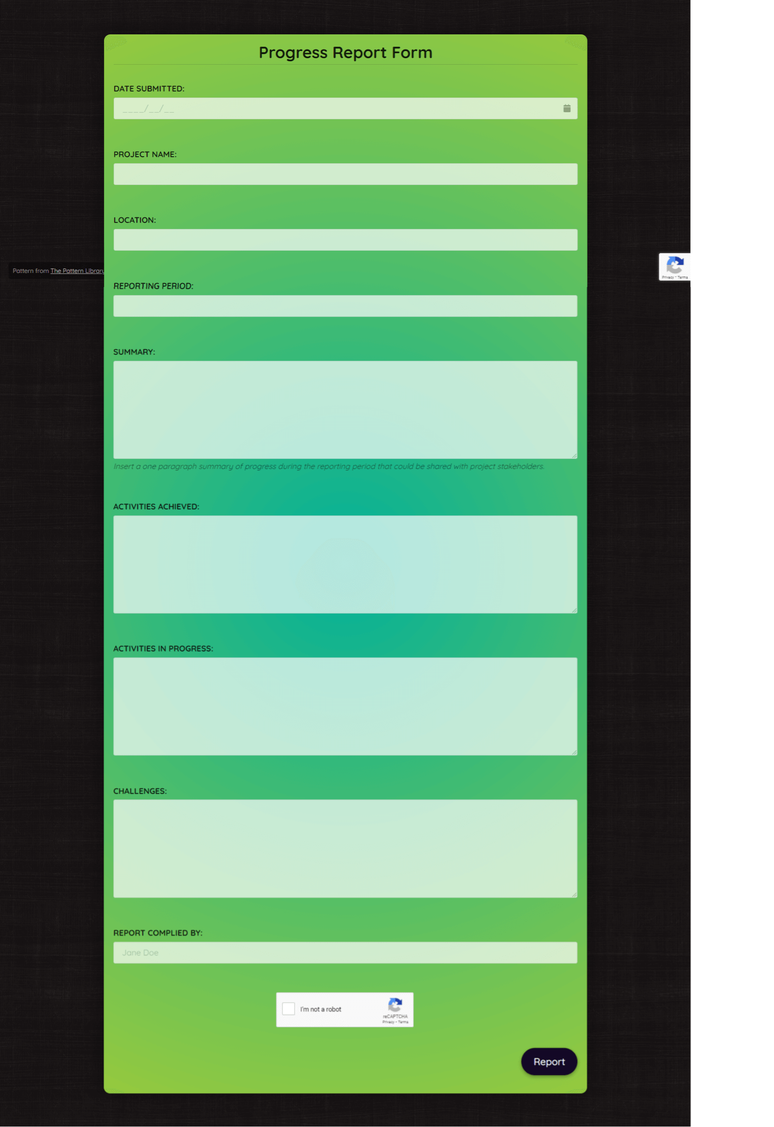 Progress Report Form Template template