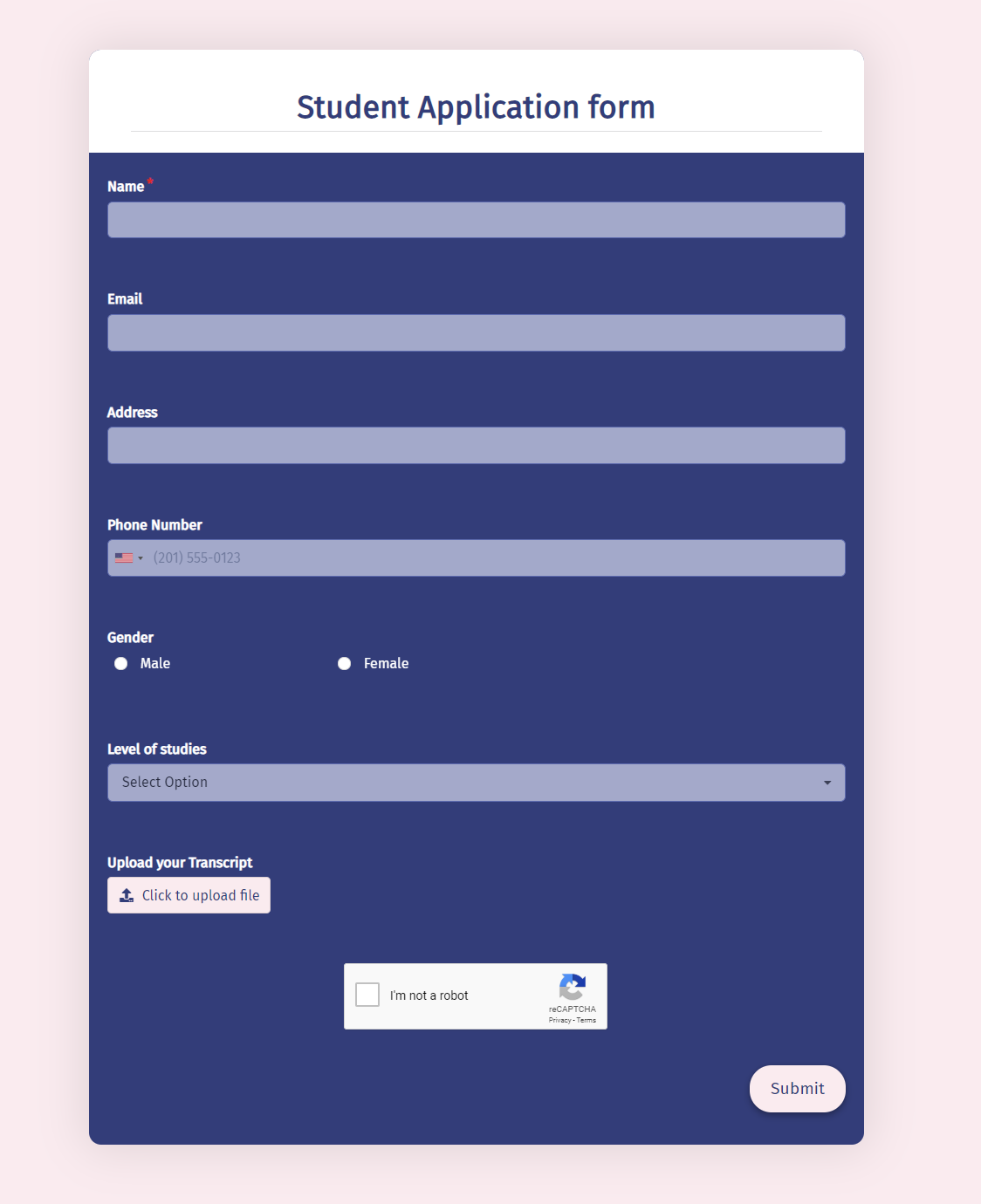 Student Application Form Template template