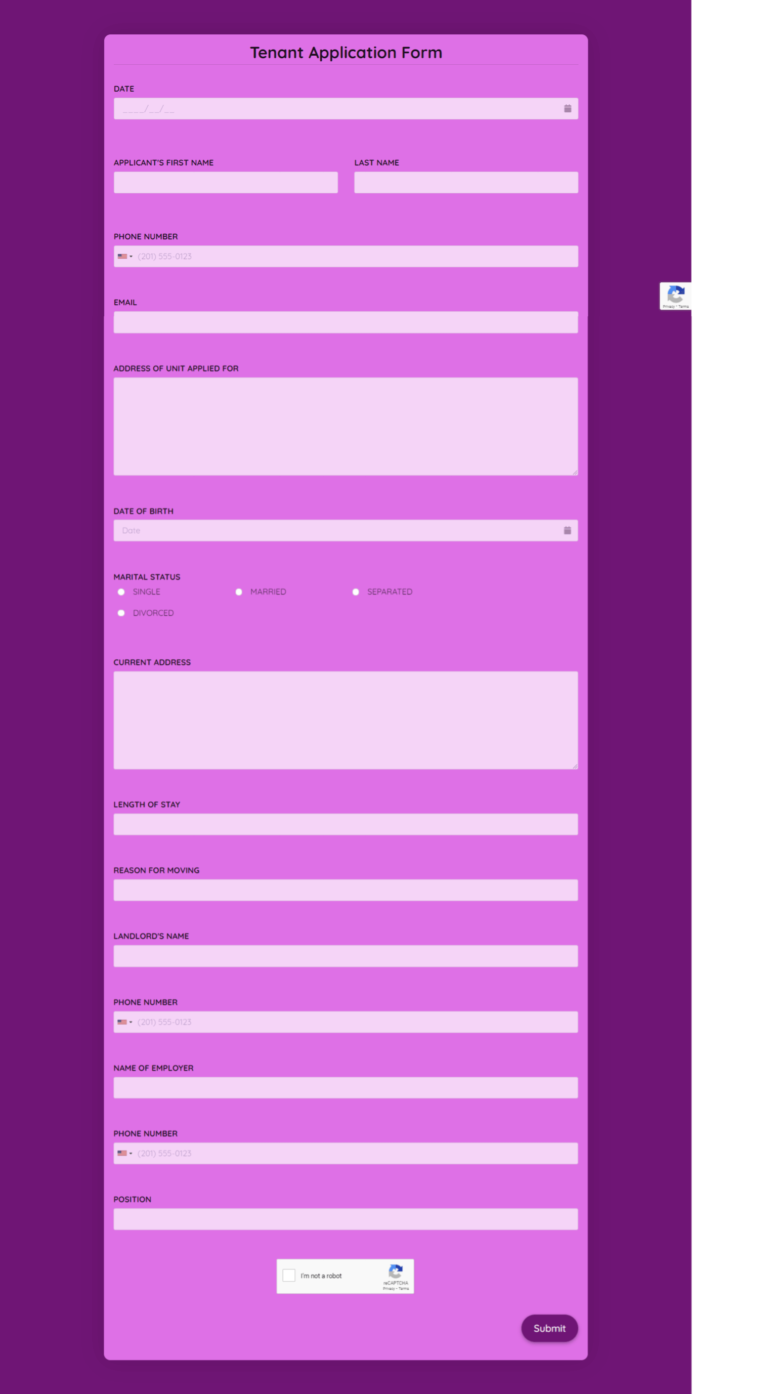 Tenant Application Form Template template