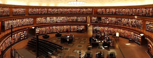 Primary vs Secondary Sources: Meaning, Examples & Differences