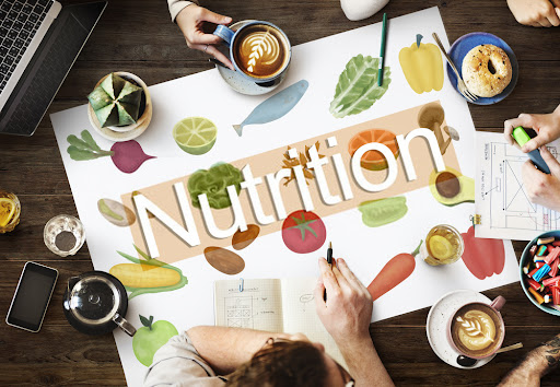 What is Nutrition Assessment? [Methods & Free Templates]