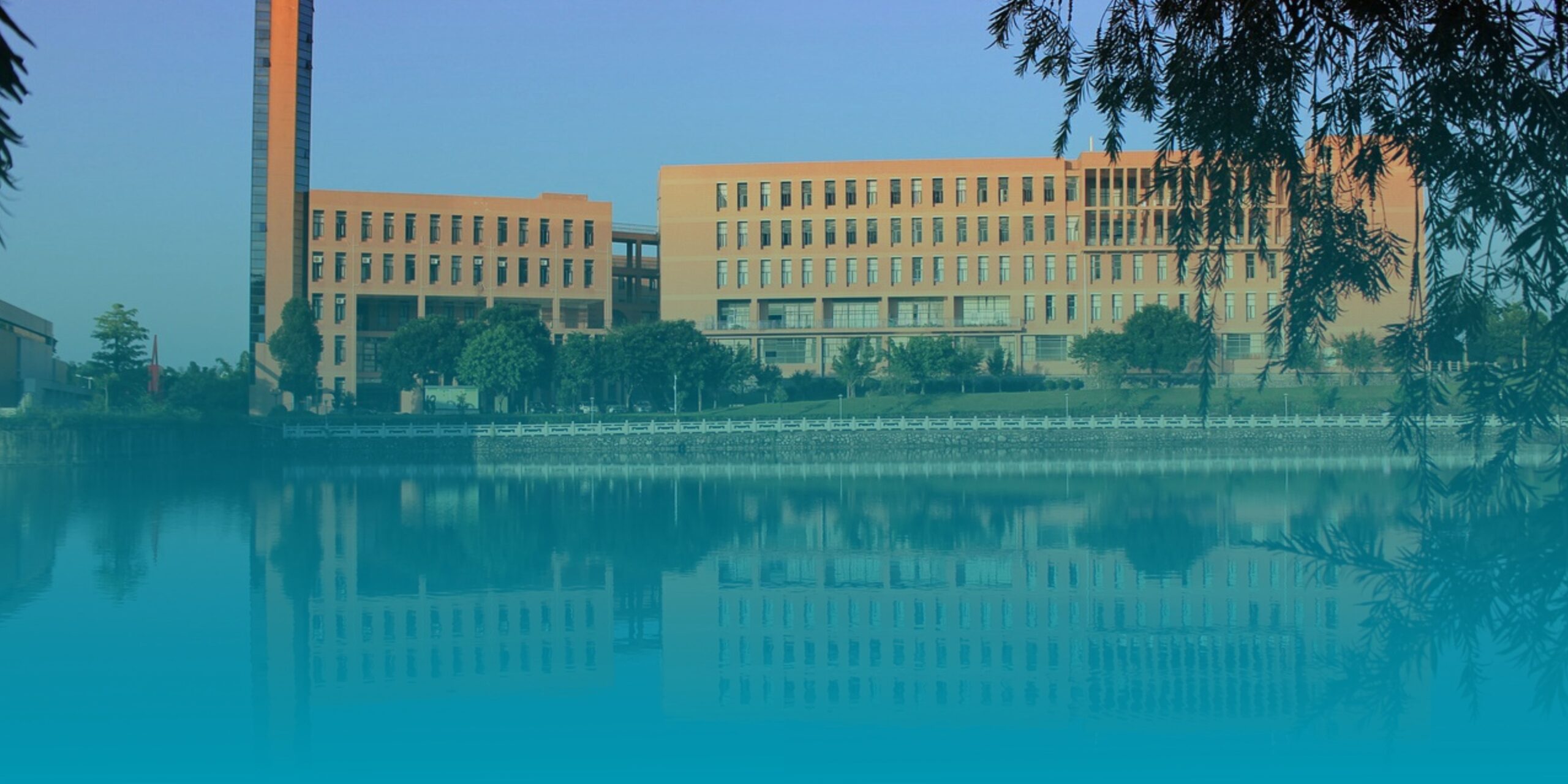 Building University Admission Forms: Components + Free Template