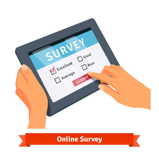 What Is Survey Piping? How It Works, Examples, and Best Practices
