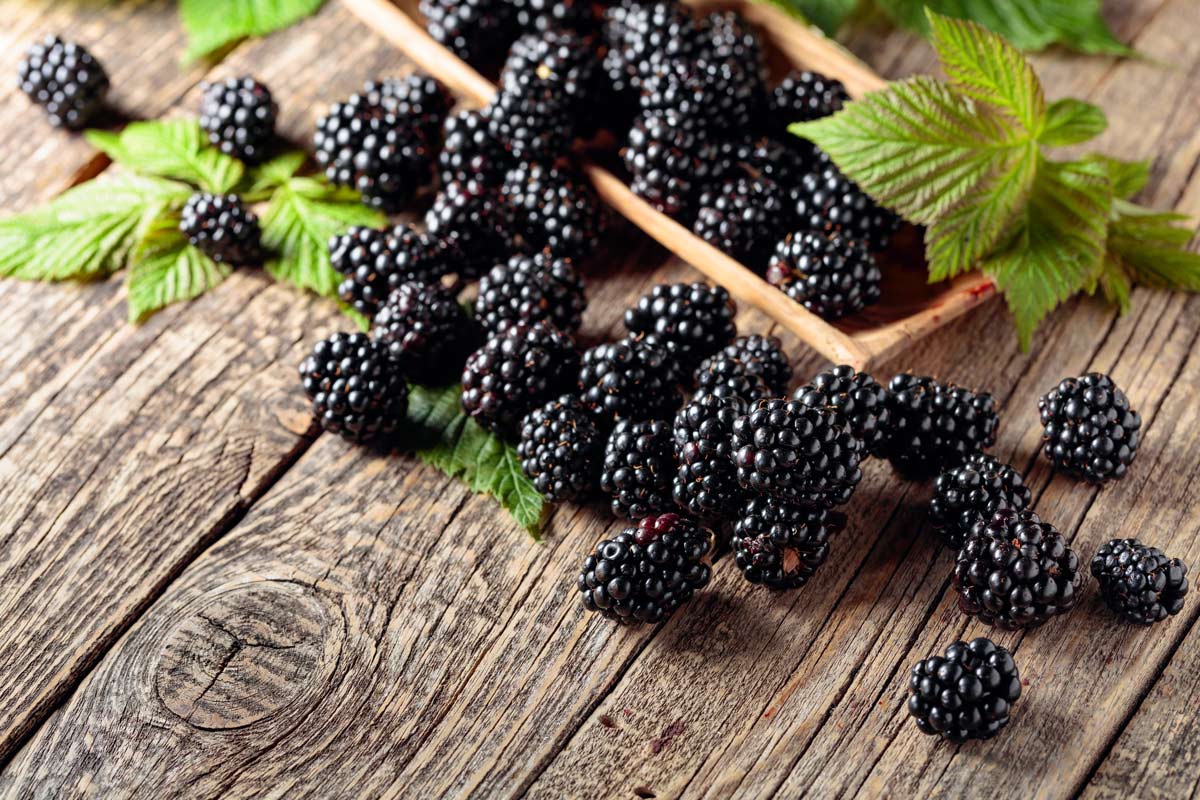 Blackberries