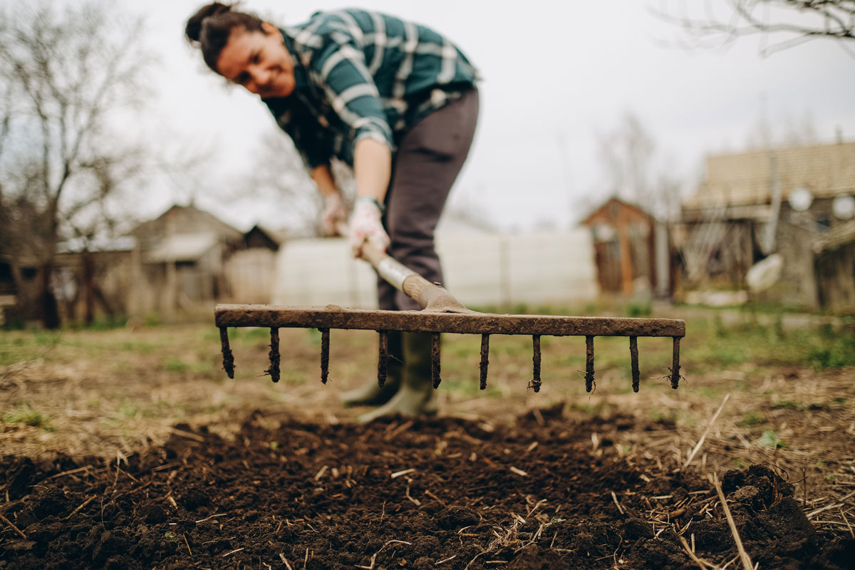 Vigorous exercise with gardening