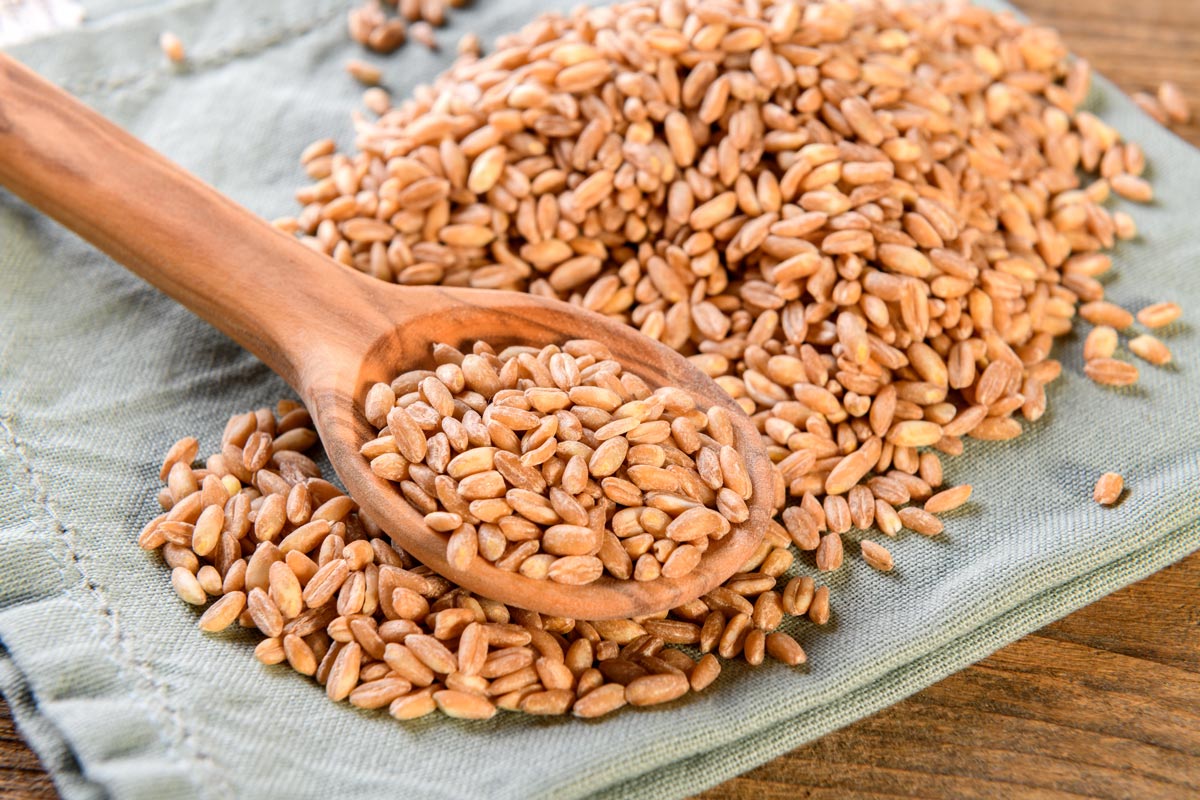Uncooked spelt