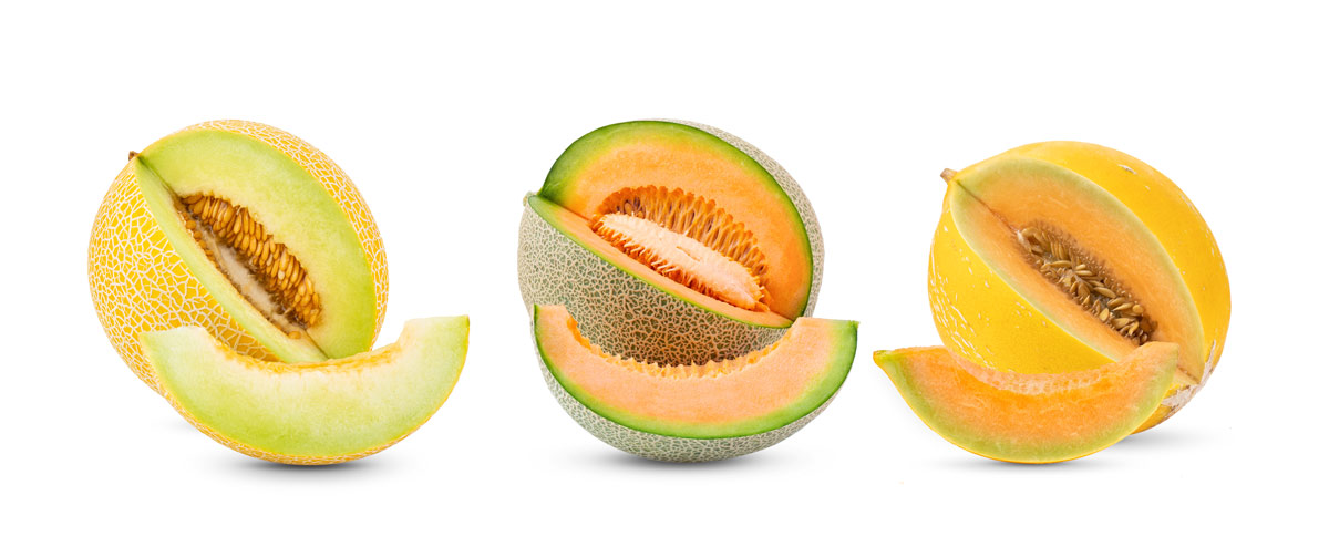 Summer melon trio