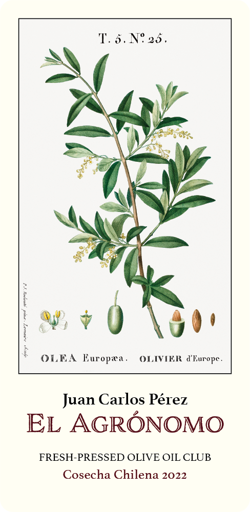 El Agrónomo, Agricola Pobeña, Comuna de La Estrella,
O’Higgins Region, Chile 2022 Fresh Pressed Olive Oil Label