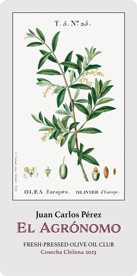 El Agrónomo, Agricola Pobeña, Comuna de La Estrella, O’Higgins Region, Chile 2023 Fresh Pressed Olive Oil Label