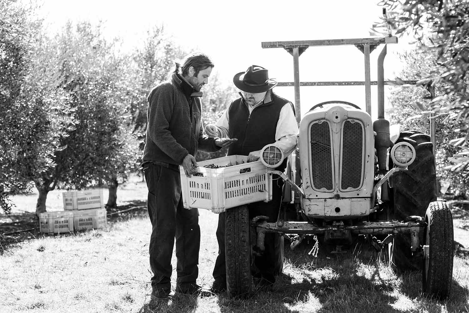 2018 Archives - Fresh-Pressed Olive Oil