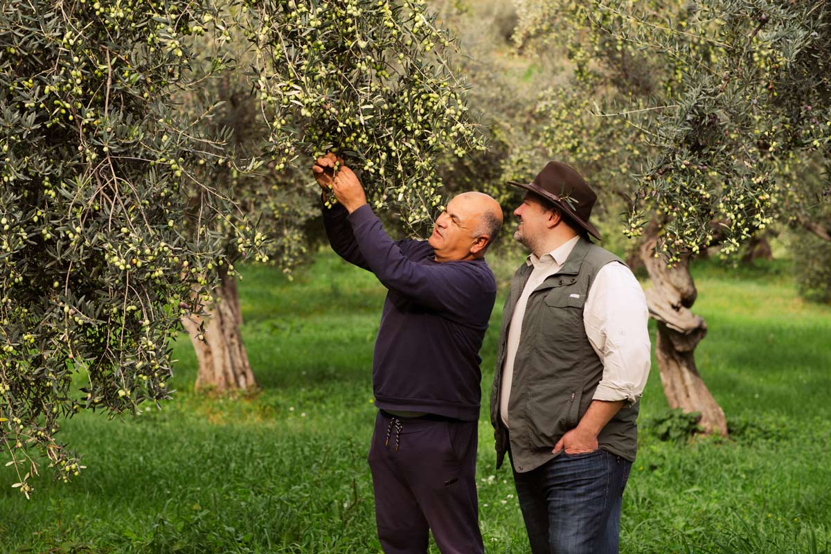 The Olive Oil Hunter News #107 The Olive Oil Hunter News #107