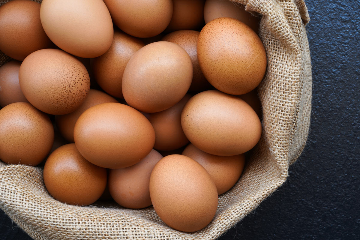 Fresh eggs