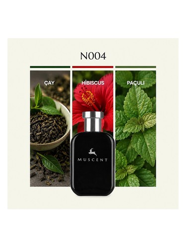 N004 bottle