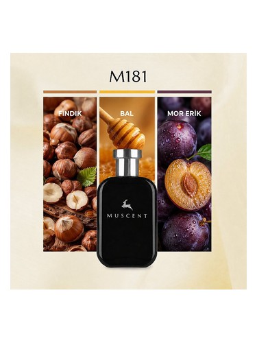 M181 bottle