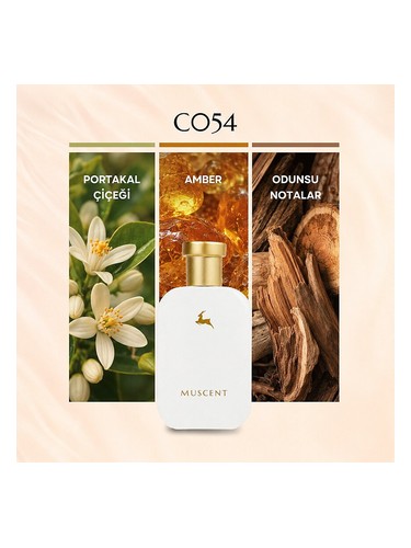 C054 bottle