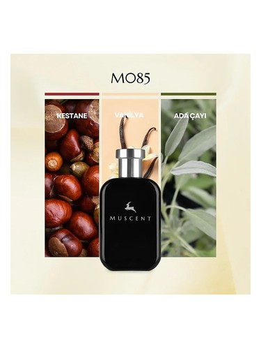 M085 bottle