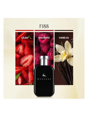 F188 bottle
