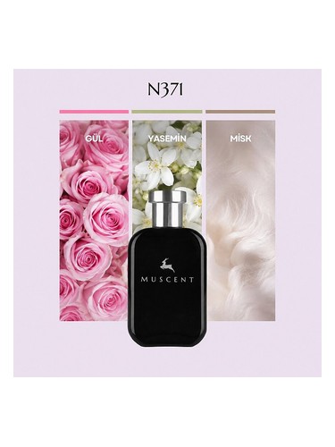 N371 bottle