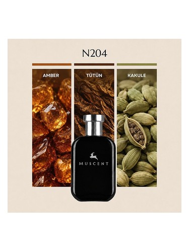 N254 bottle